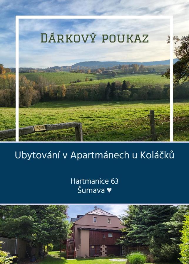 Apartmány u Koláčků Hartmanice  Exteriér fotografie